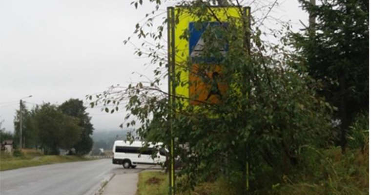 Zasłonięty przez gałęzie znak. Starodroże w gminie Zagnańsk. Fot. Materiały kontrolne NIK