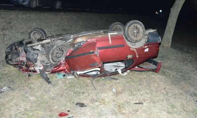 Kierowca na drodze koło Zamościa próbował ominąć sarnę leżącą na drodze i potrącił innego kierowcę, który wyszedł z auta. Fot. Policja