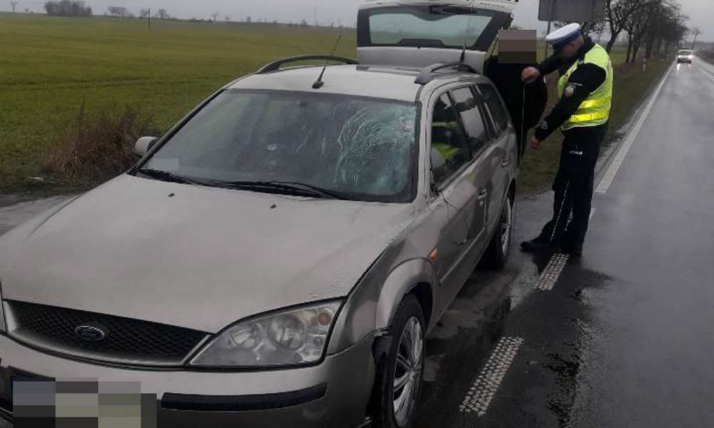 Kierowca potrącił pieszego ubranego w kamizelkę odblaskową i idącego właściwą stroną drogi Fot. Policja