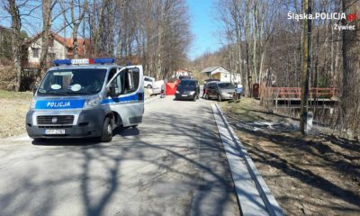 Kierowca zjechał na pobocze i zabił dwie piesze w Rychwałdku Fot. Policja