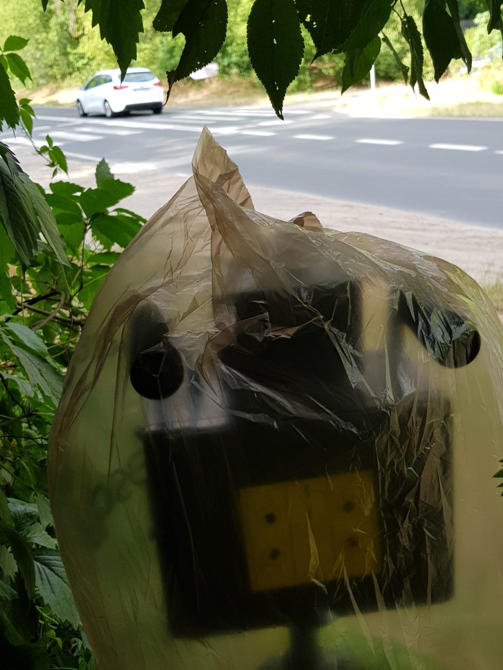 Pomiar fotoradarem na przejściu dla pieszych Fot. VideoRadar