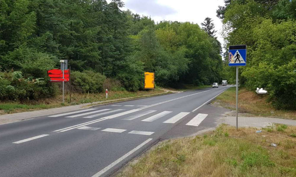 Przejście dla pieszych jest dobrze oznaczone, są nawet znaki aktywne Fot. VideoRadar