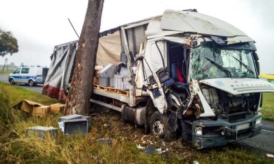 Pijany kierowca ciężarówki uderzył po kolei w dwa drzewa. Fot. Policja