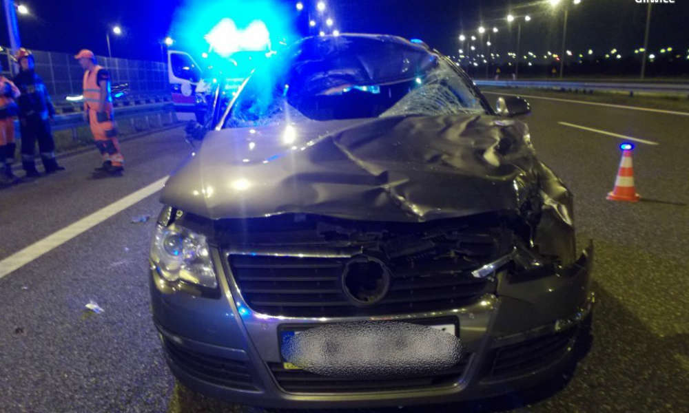 Zderzenie z jeleniem na autostradzie A4. Fot. Policja