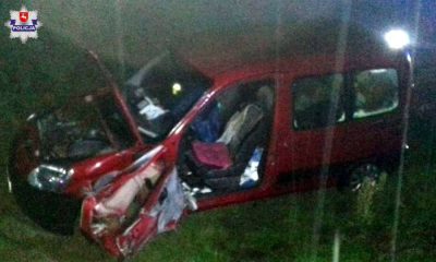 Śmiertelny wypadek w miejscowości Żyrzyn na trasie S17 Fot. Policja