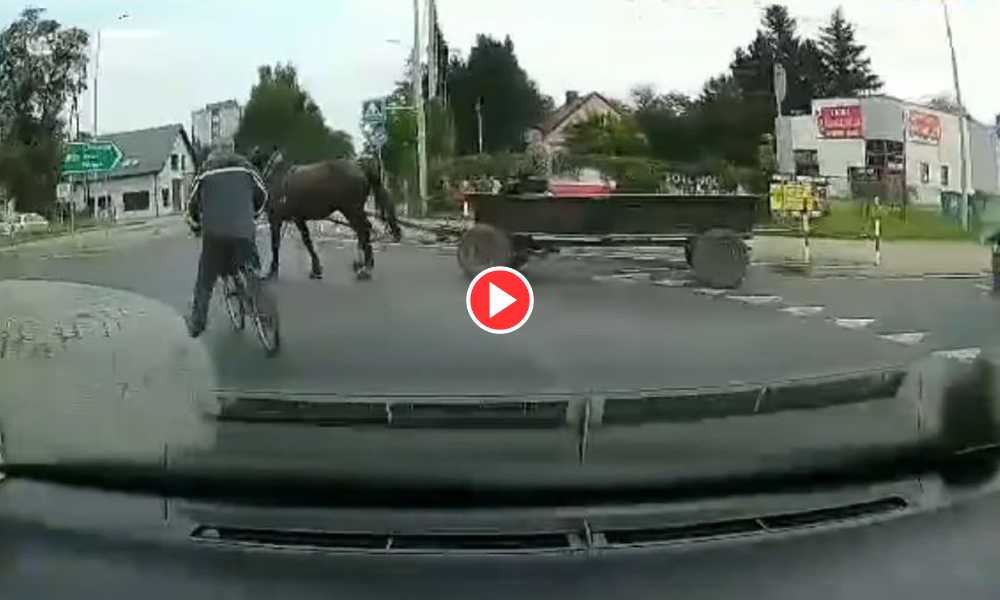 Rowerzysta i woźnica spotkali się na rondzie w Andrychowie Źródło: Facebook/Mamnewsa