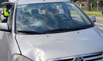 W Puławach kierowca toyoty uderzył pieszego na pasach. Twierdzi, że został oślepiony przez słońce Fot. Policja