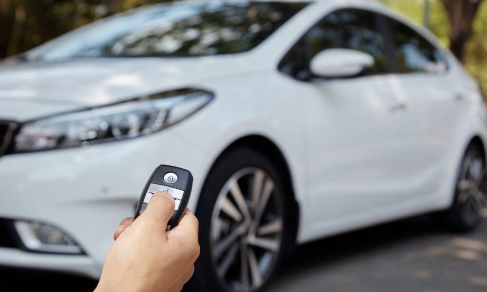 Fot. mat. reklamodawcy/stock.adobe.com