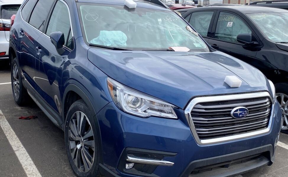 Fot. materiał partnera