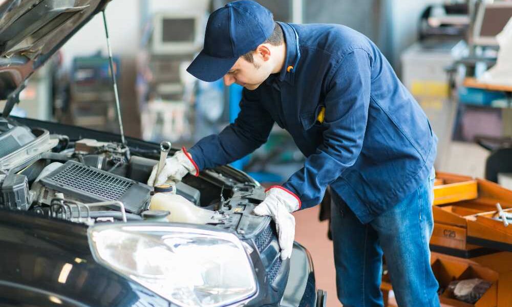 Fot. mat. reklamodawcy