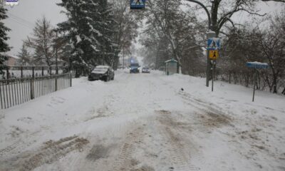Kierowca busa potrącił dziecko na przejściu dla pieszych przy szkole i uciekł Fot. Policja
