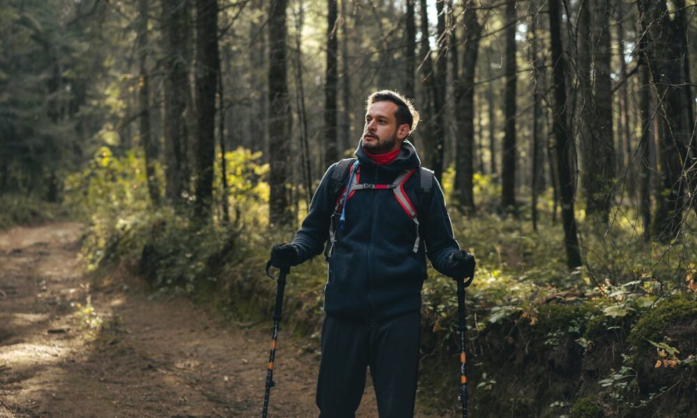 Wycieczka po lesie Źródło: Pexels