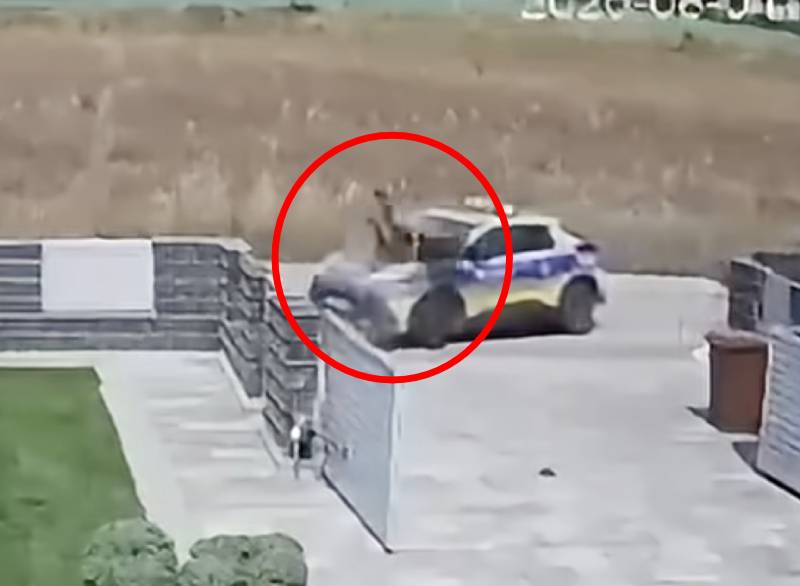 Szokująca interwencja policji. Staranowali 12-latka na motorowerze